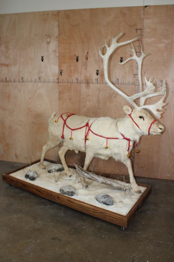 Festive Life-sized CARIBOU or REINDEER on a Snowy Wood Base with Wheels (1 of 8)