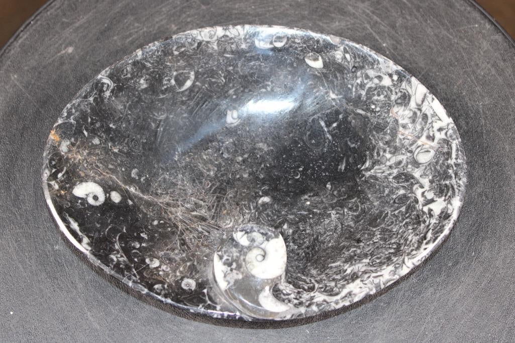 Polished ORTHOCERAS and AMMONITE Fossil Matrix Tray or Plate, Weight: 1 lb (1 of 4)