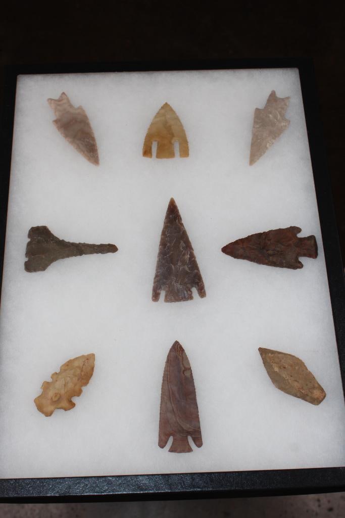 (9) Big ARROWHEADS or Projectile Points in a Display Case (1 of 8)
