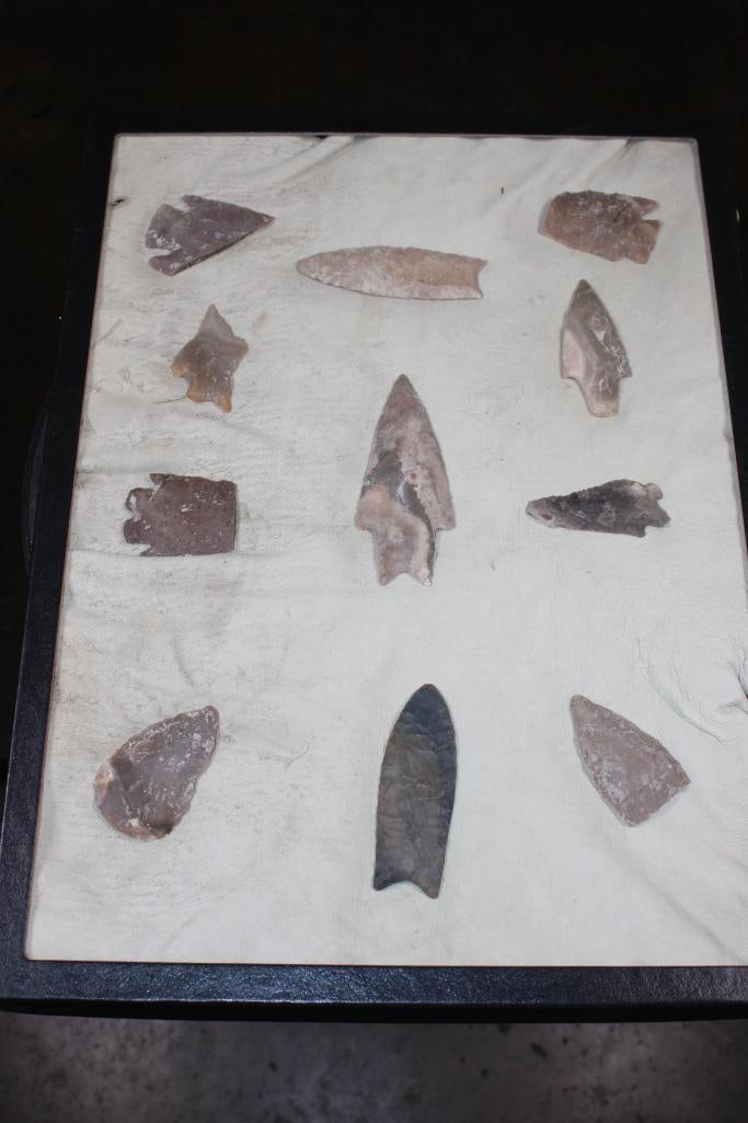 (11) Native American ARROWHEADS or Spear Points in a Display Case (1 of 7)
