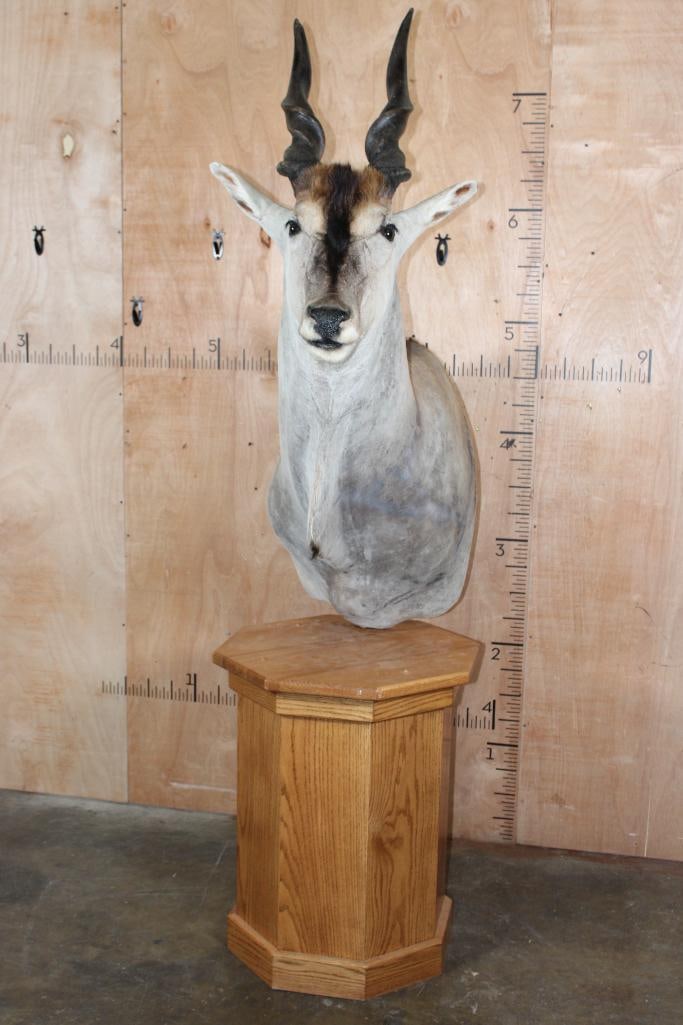 ELAND Pedestal Mount (1 of 10)