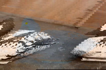 Hand-crafted Wood and Cork "D.C. Kresser Colchester, VT" DUCK DECOY