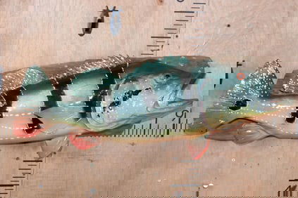 Big Reproduction PEACOCK BASS Fish Mounted on a Wood Wall Hanger