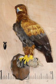 "Lady Justice" Reproduction GOLDEN EAGLE on a Branch Perch and Wood Plaque