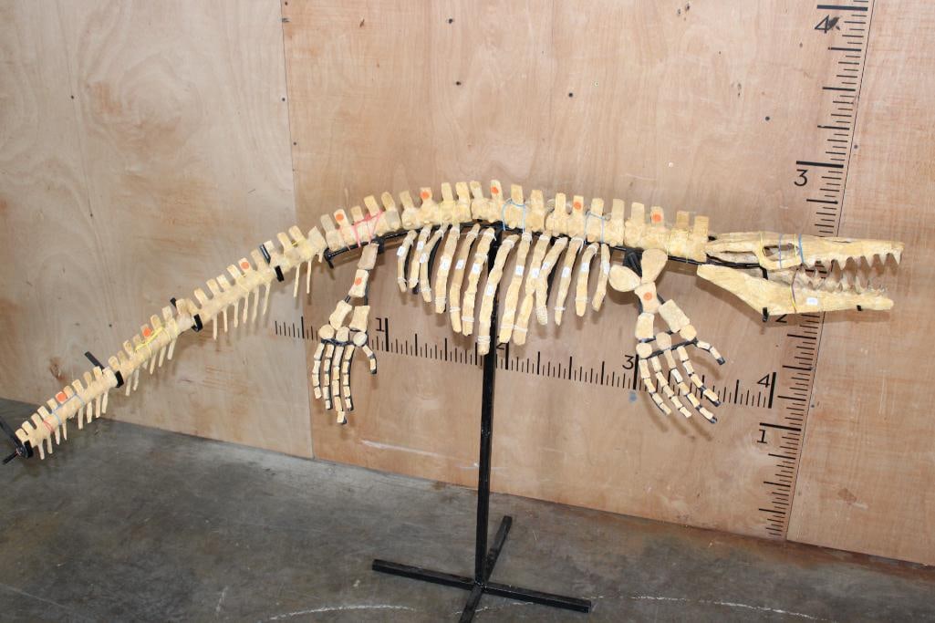 Fossilized Articulated CROCODILIAN Skeleton (1 of 14)