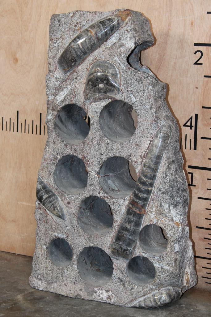 XXL ORTHOCERAS FOSSIL Matrix Wine Rack (1 of 9)