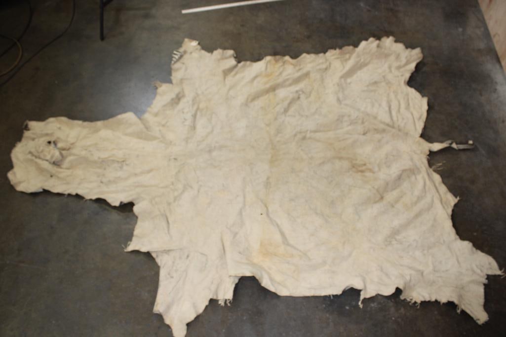 ZEBRA HIDE or ZEBRA RUG with Vibrant Stripes - 7