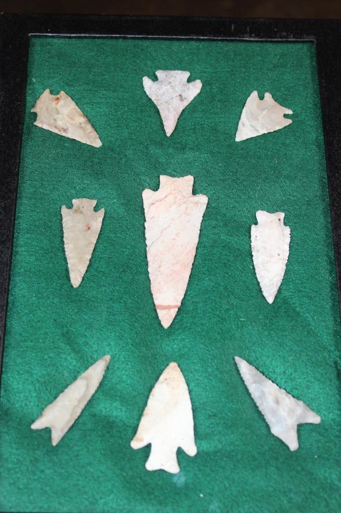 (9) Native American ARROWHEADS or Projectile Points in a Display Case: 9 Native American ARROWHEADS or Projectile Points. There are Dalton Points from the Paleo-Indian to Early Archaic period, Corner Notched, a Hardin Point (Mesolithic to Neolithic period), Lost Lake