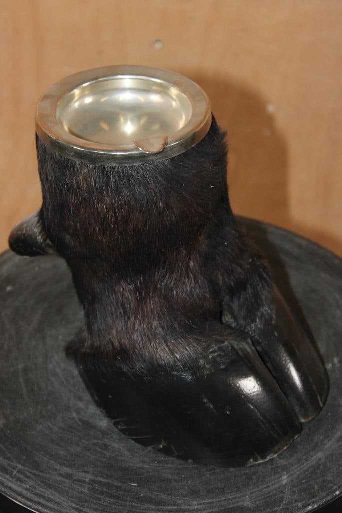 CAPE BUFFALO Foot and Brass Ash Tray - 2