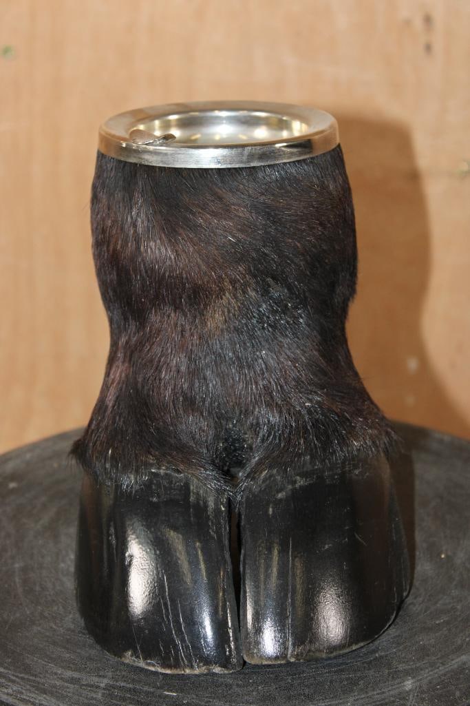 CAPE BUFFALO Foot and Brass Ash Tray - 3