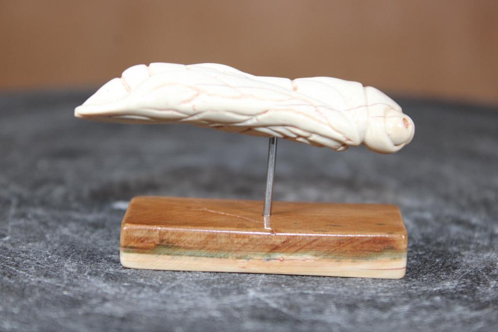 Guillermo Leal, Fossilized MAMMOTH IVORY TUSK Carved CICADA: Guillermo Leal, Fossilized MAMMOTH IVORY TUSK Carved CICADA with a Mammoth Tusk Base. It measures 2" Tall x 2 5/8" Long x 7/8" Depth and Weighs 1 oz. It is styled after Asian Jade Cicada carvings but