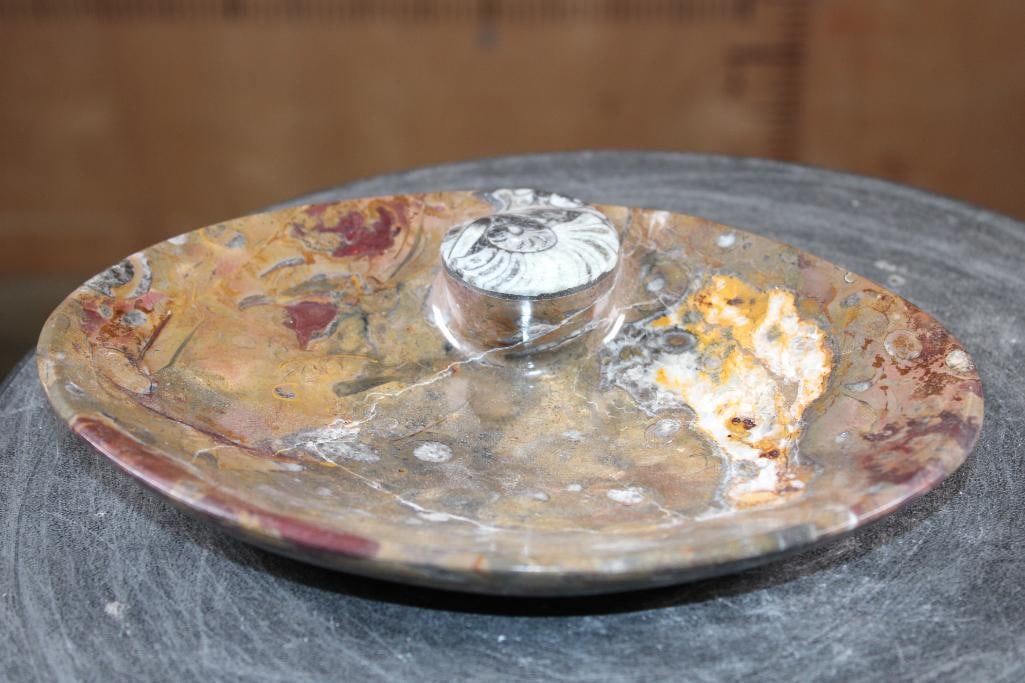 Polished AMMONITE and ORTHOCERAS Fossil Matrix Bowl or Dish - 3