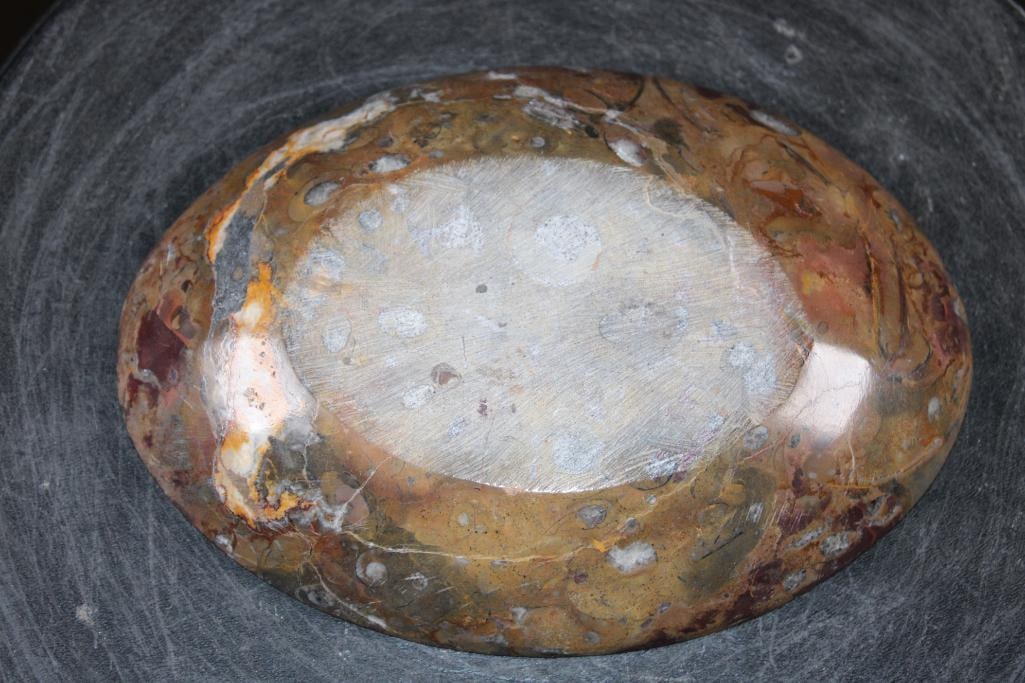 Polished AMMONITE and ORTHOCERAS Fossil Matrix Bowl or Dish - 4