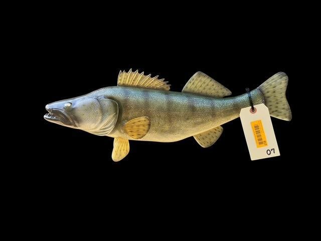 *New in Box* Reproduction WALLEYE Fish Mount - 2