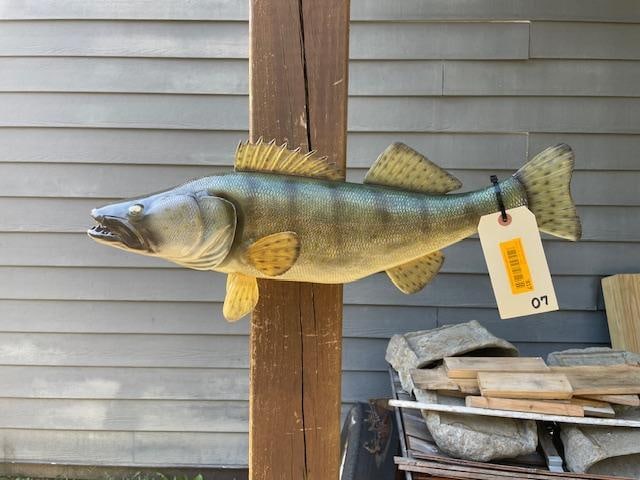 *New in Box* Reproduction WALLEYE Fish Mount - 3