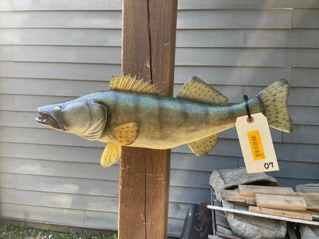 *New in Box* Reproduction WALLEYE Fish Mount - 6