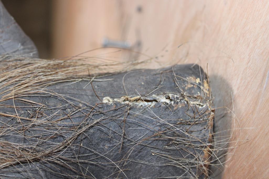 WARTHOG Shoulder Mount - 7