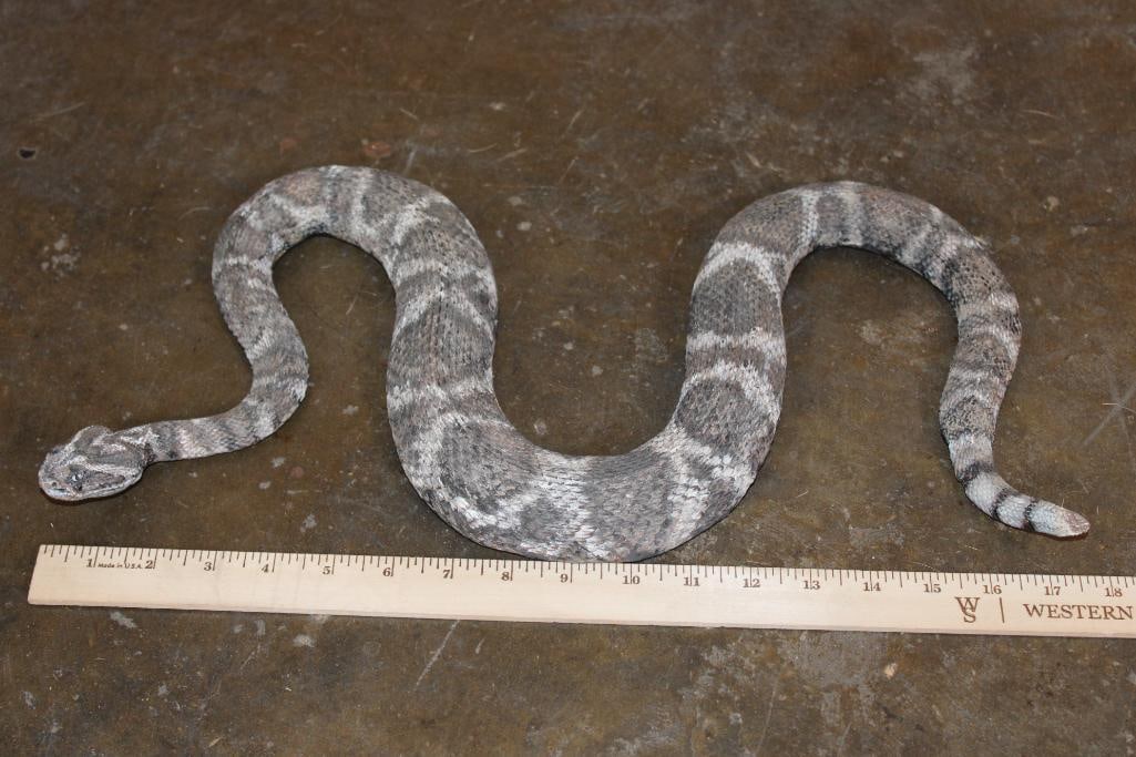 Reproduction RATTLESNAKE Mount - 2