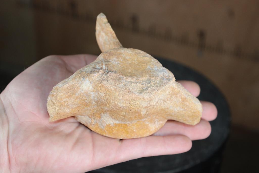Fossilized MOSASAURUS VERTEBRAE Specimen - 2