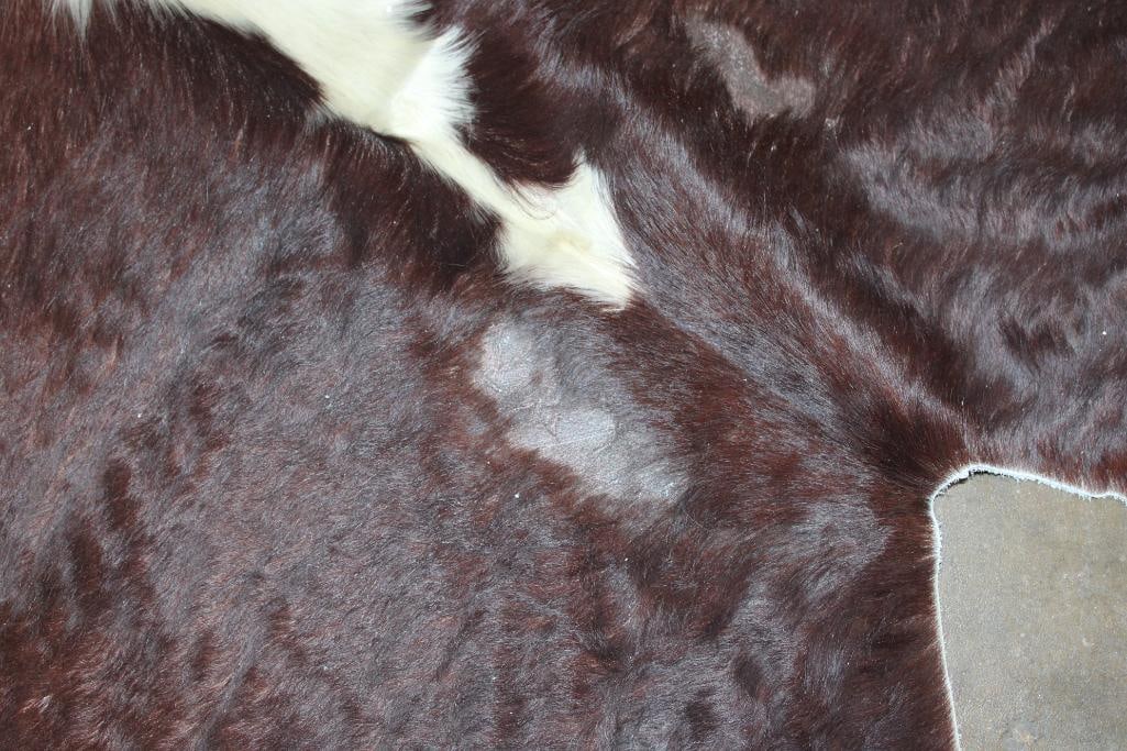 *Brand New* Brown and White COWHIDE or COWHIDE RUG - 4