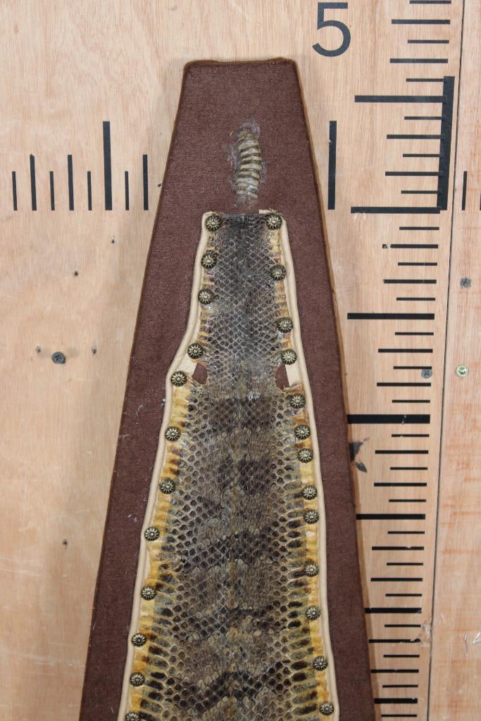 PRAIRIE RATTLESNAKE Skin on a Wood Plank - 3