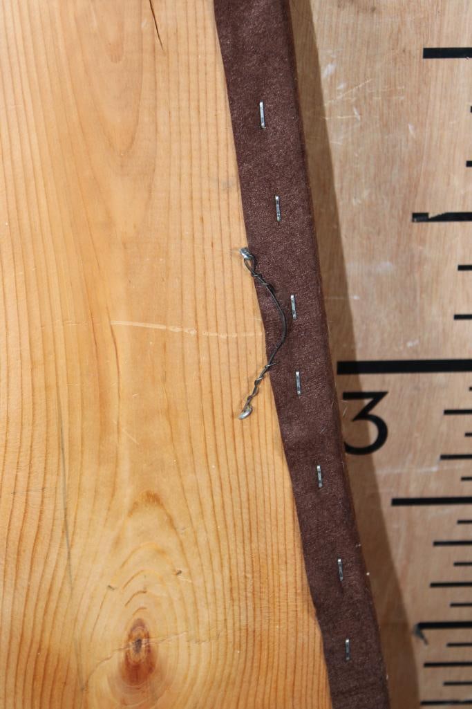 PRAIRIE RATTLESNAKE Skin on a Wood Plank - 8