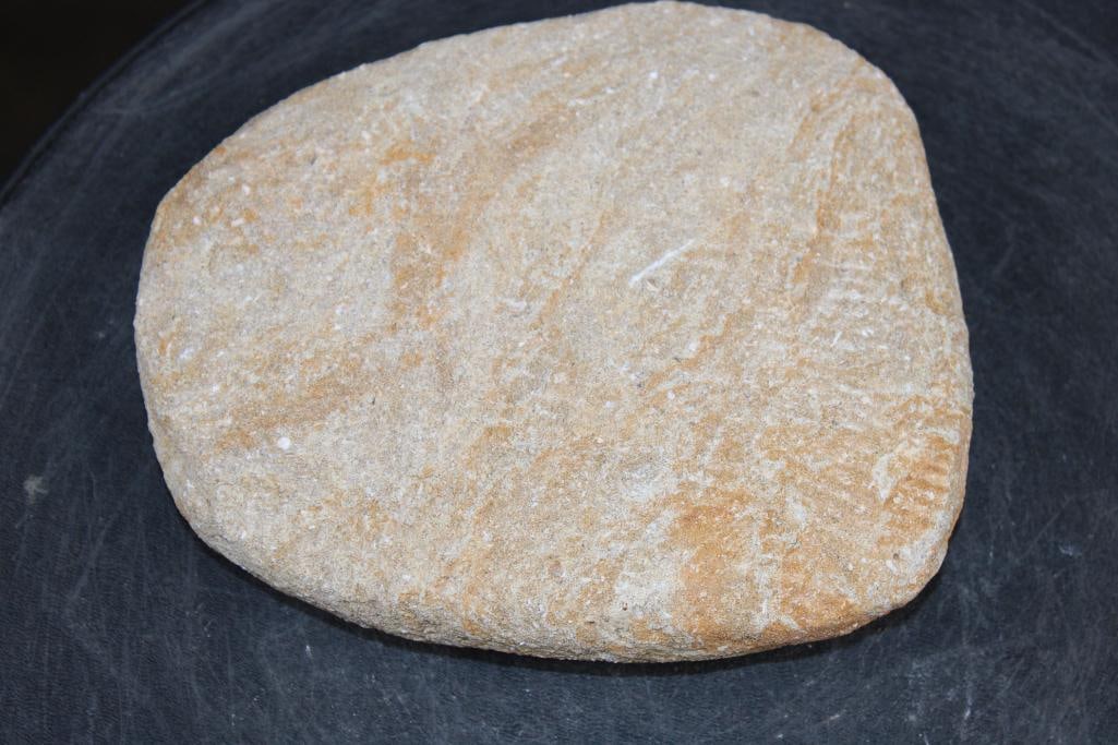 5 Fossilized MOSASAUR Teeth in a Matrix Display - 4