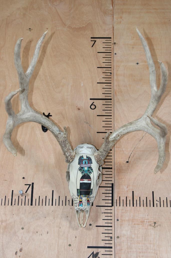 15-Point MULE DEER Skull wrapped with a Painted Deer Hide with a Native American Style "Kachina" or: 15-Point MULE DEER Skull with a 21" Spread, wrapped with a Painted Deer Hide. The hide showcases a Native American Style "Kachina" or Warrior. TAXIDERMY SKULLS 