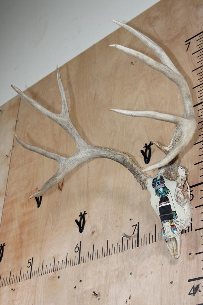 15-Point MULE DEER Skull wrapped with a Painted Deer Hide with a Native American Style "Kachina" or - 4