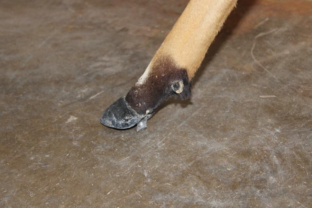 Life-sized NYALA on Bolts (NO BASE) - 4