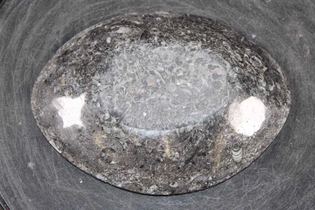 Polished AMMONITE and ORTHOCERAS Fossil Matrix Bowl or Dish - 4