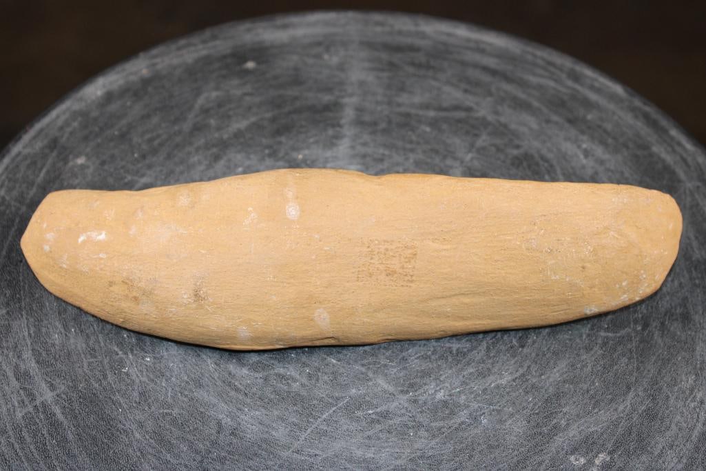 Fossilized RHACOLEPIS BUCCALIS Fish Specimen in its Fossil Matrix - 7