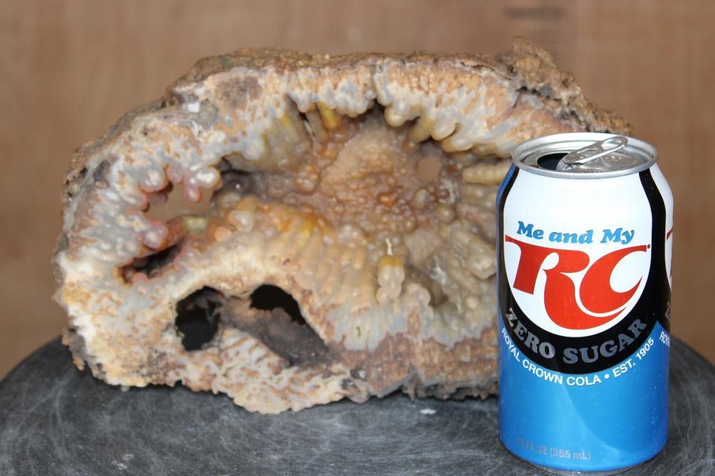 WITHLACOOCHEE BOTRYOIDAL Agatized Coral Druzy with Druzy Quartz Crystals - 2