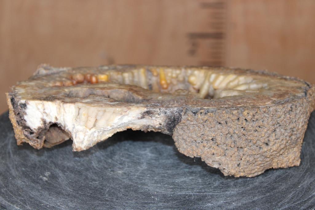 WITHLACOOCHEE BOTRYOIDAL Agatized Coral Druzy with Druzy Quartz Crystals - 4