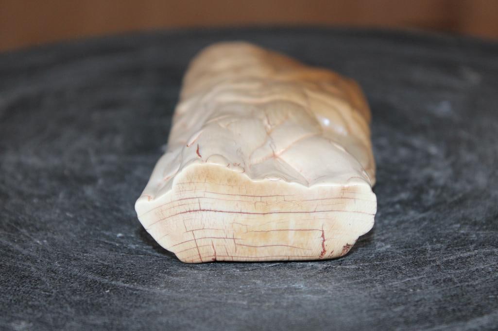 Guillermo Leal, Carved Fossilized MAMMOTH IVORY TUSK of a Saber Toothed Cat atop a Mammoth - 8