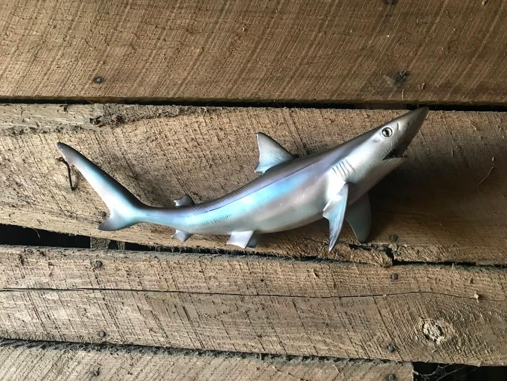 Reproduction SAND SHARK Fish Mount: Very Nice Reproduction SAND SHARK Fish Mount. It measures 14" Long (in a straight line) and is finished on both sides. NAUTICAL DECOR AND TAXIDERMY FISH 