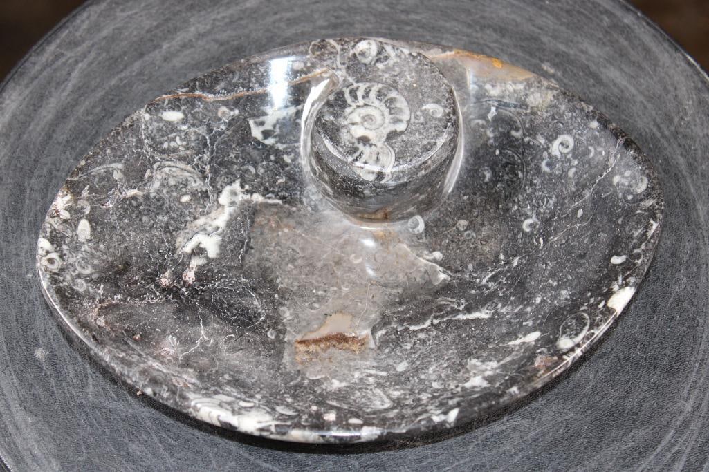 Polished AMMONITE and ORTHOCERAS Fossil Matrix Bowl or Dish: Decorative Polished AMMONITE and ORTHOCERAS Fossil Matrix Bowl or Dish. It features a large spiraled ammonite fossil as a main decorative element and measures 9" Long x 6 5/8" Wide x 1.25" Tall (depth