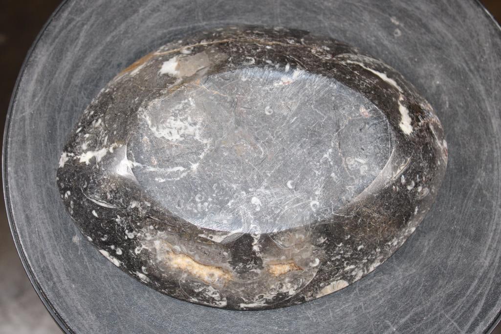 Polished AMMONITE and ORTHOCERAS Fossil Matrix Bowl or Dish - 4