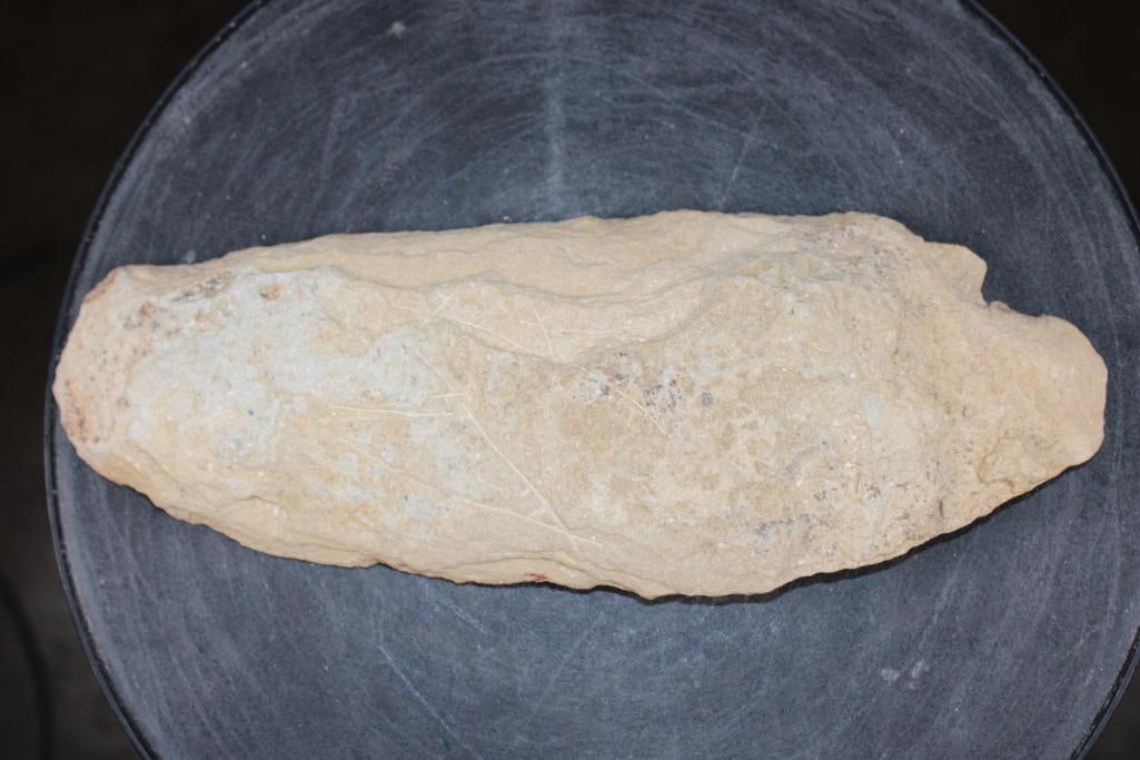 Big Fossilized PRIONOLEPIS CATAPHRACTUS or "Viper Fish" Specimen in its Fossil Matrix - 6