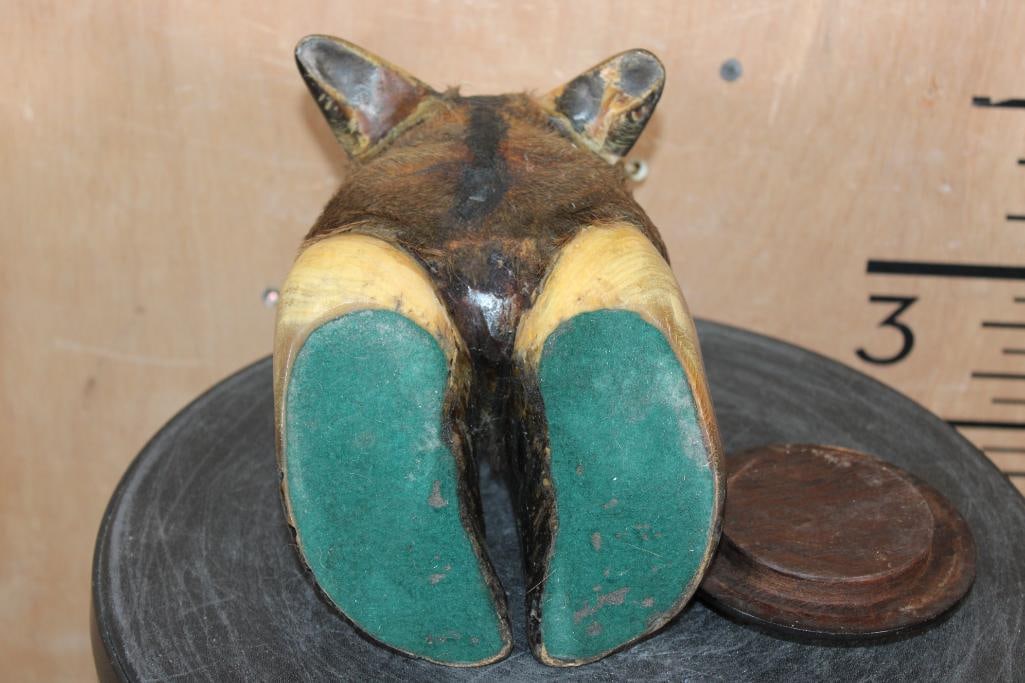 CAPE BUFFALO Hoof Canister with a Wood Lining and Lid - 6