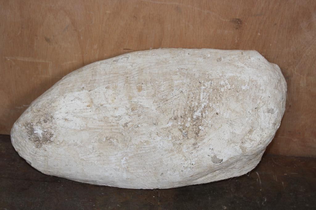 XL Fossil Matrix Display with a Huge MOSASAUR Tooth and Spinal Column - 6