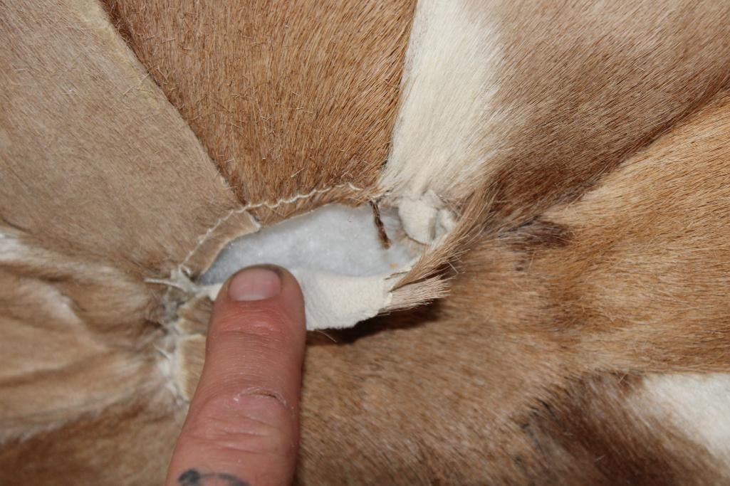 SPRINGBOK Hide Decorative Patchwork PILLOW - 3