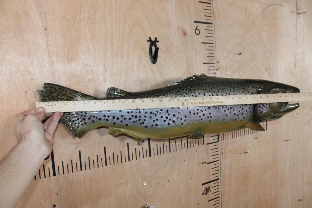 Reproduction BROWN TROUT Fish Mount - 7