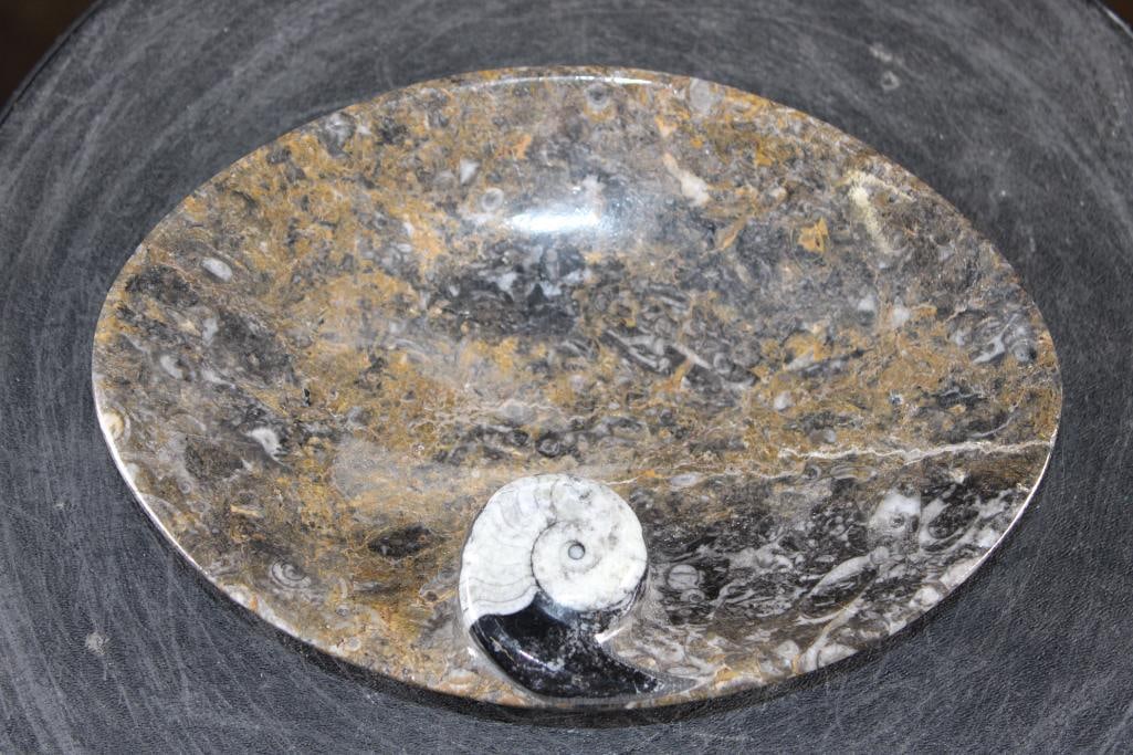 Polished AMMONITE and ORTHOCERAS Fossil Matrix Bowl or Dish: Decorative Polished AMMONITE and ORTHOCERAS Fossil Matrix Bowl or Dish. It features a large spiraled ammonite fossil as a main decorative element and measures 8.25" Long x 5.75" Wide x 1.5" Tall