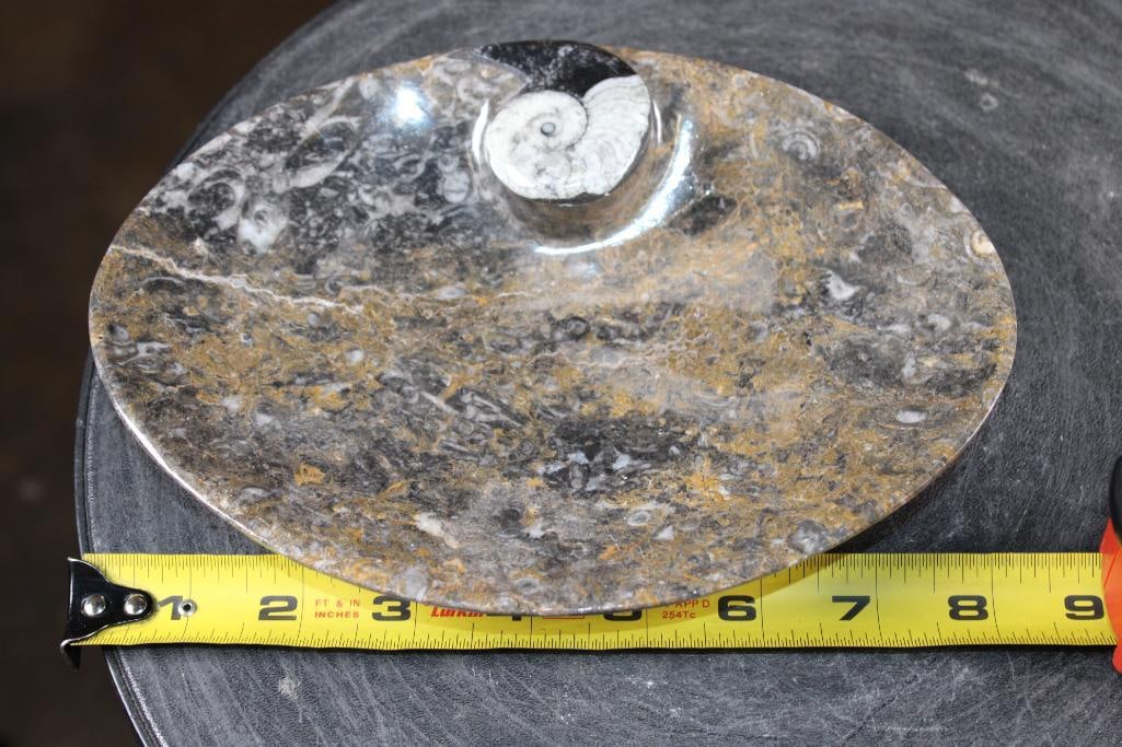 Polished AMMONITE and ORTHOCERAS Fossil Matrix Bowl or Dish - 3