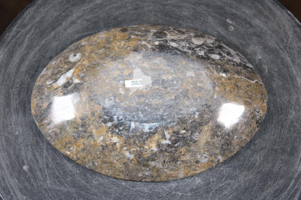 Polished AMMONITE and ORTHOCERAS Fossil Matrix Bowl or Dish - 4