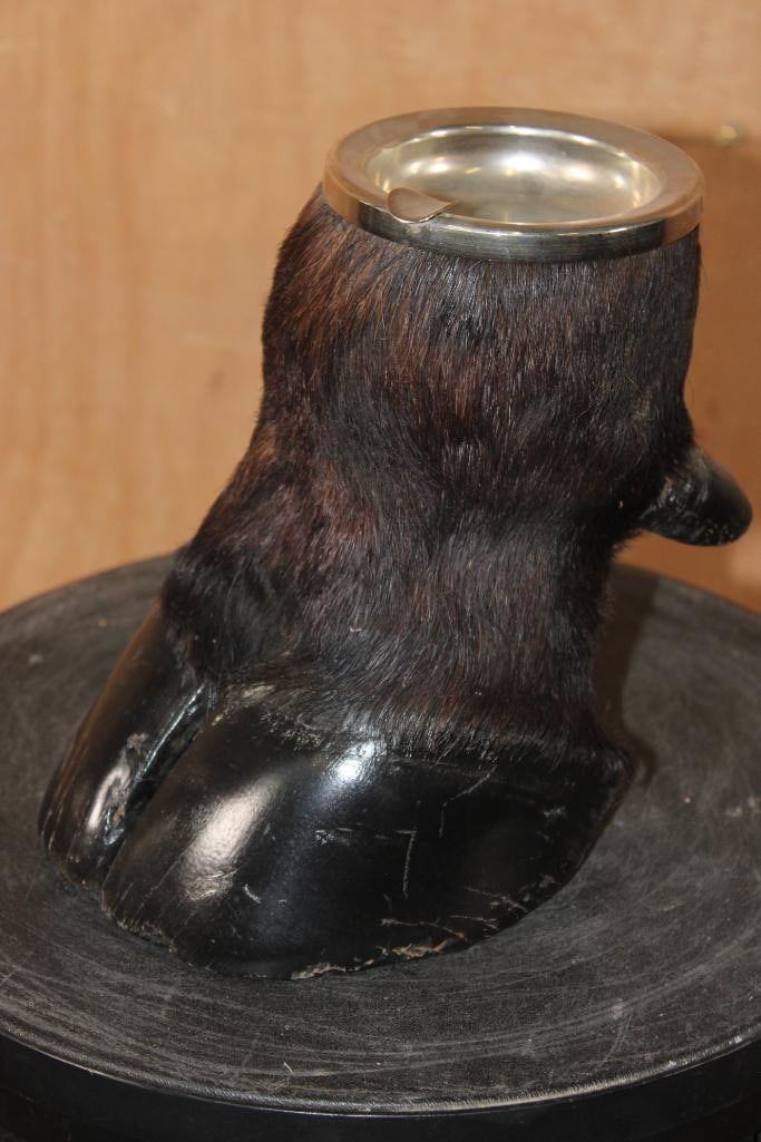 CAPE BUFFALO Foot and Brass Ash Tray: Very Well made CAPE BUFFALO Foot and Brass Ash Tray. It measures 7.5" Tall x 8" Long x 5.5" Wide. DECORATIVE TAXIDERMY 
