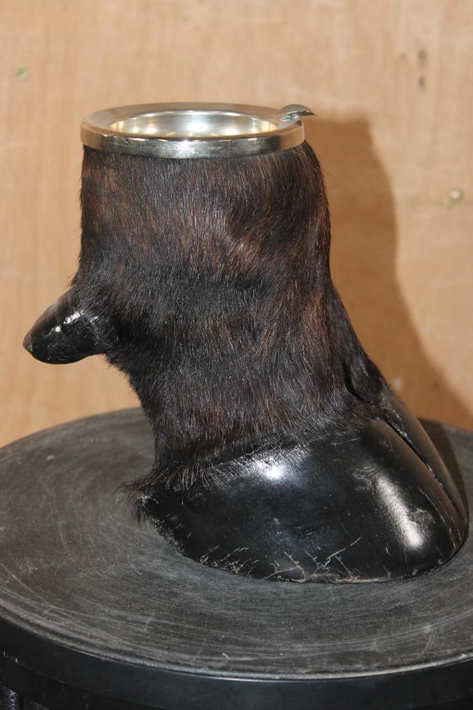 CAPE BUFFALO Foot and Brass Ash Tray - 3