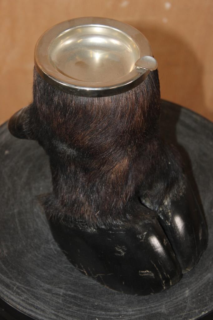 CAPE BUFFALO Foot and Brass Ash Tray - 5