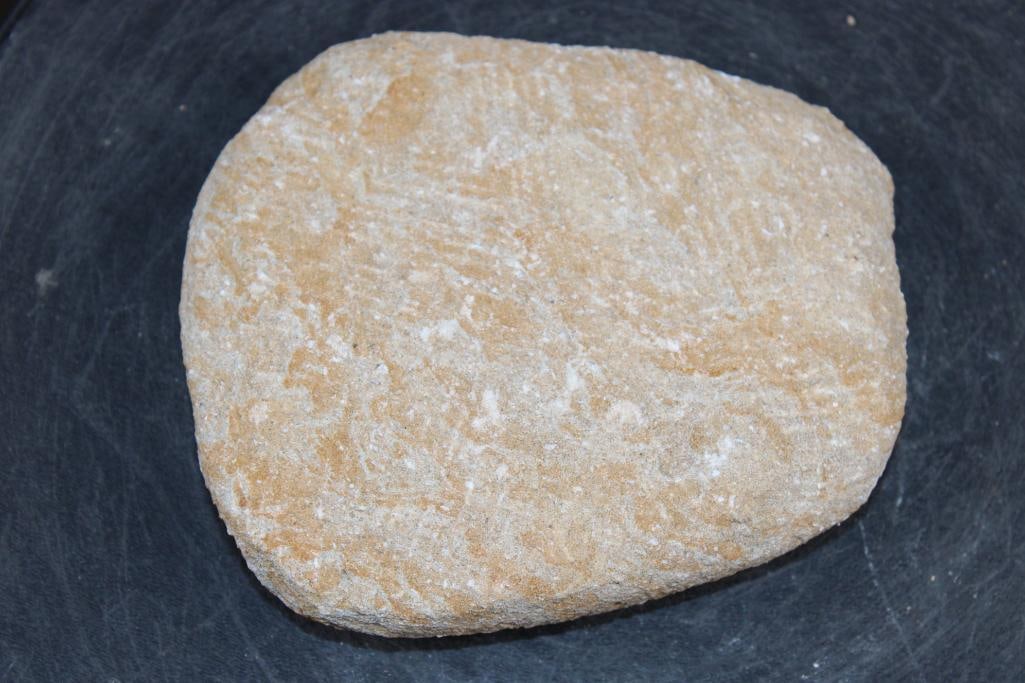 5 Fossilized MOSASAUR Teeth in a Matrix Display - 4